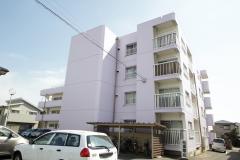 シャトレ徳島外観画像